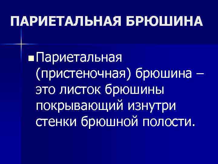 ПАРИЕТАЛЬНАЯ БРЮШИНА n Париетальная (пристеночная) брюшина – это листок брюшины покрывающий изнутри стенки брюшной