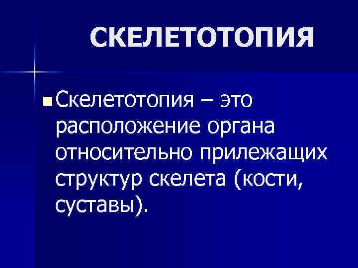 СКЕЛЕТОТОПИЯ n Скелетотопия – это расположение органа относительно прилежащих структур скелета (кости, суставы). 