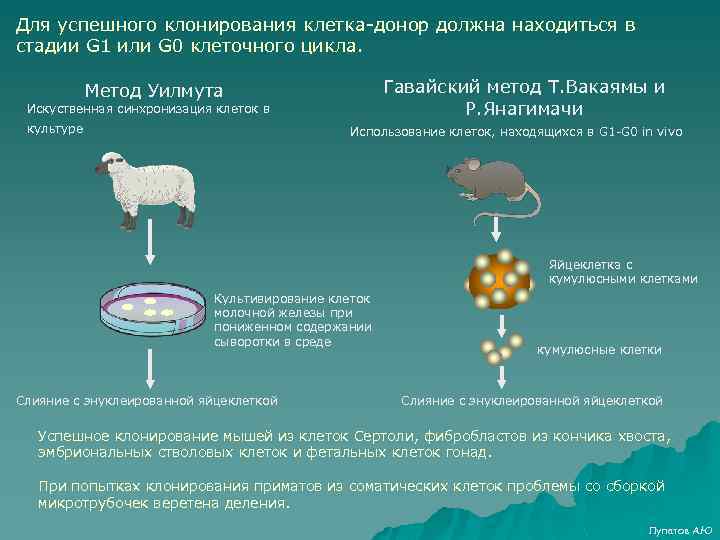 Программа для клонирования