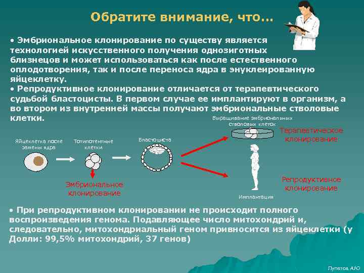 Как клонировать человека по волосу