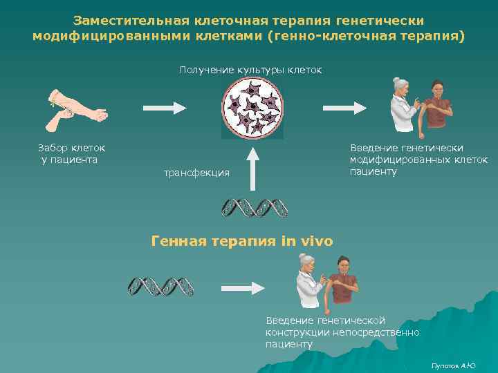 Карта клеточная терапия