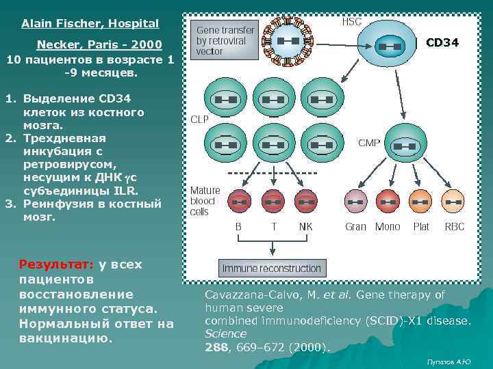 Alain Fischer, Hospital Necker, Paris - 2000 10 пациентов в возрасте 1 -9 месяцев.