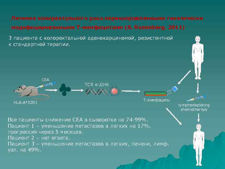 Лечение колоректального рака перенаправленными генетически модифицированными Т-лимфоцитами (S. Rosenberg, 2011) 3 пациента с колоректальной