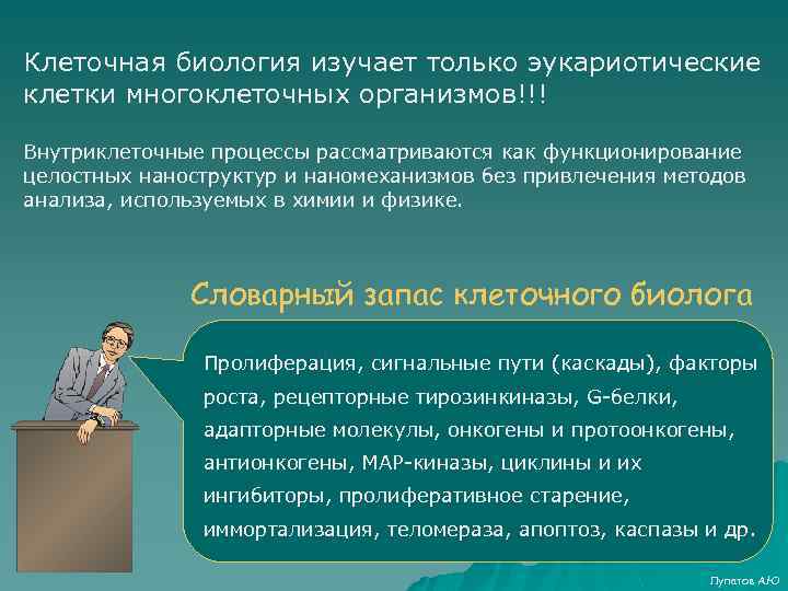 Клеточная биология изучает только эукариотические клетки многоклеточных организмов!!! Внутриклеточные процессы рассматриваются как функционирование целостных