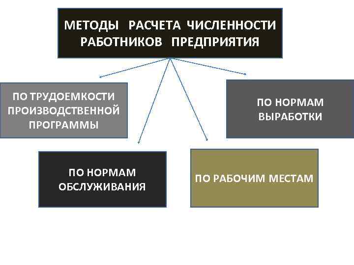 МЕТОДЫ РАСЧЕТА ЧИСЛЕННОСТИ РАБОТНИКОВ ПРЕДПРИЯТИЯ ПО ТРУДОЕМКОСТИ ПРОИЗВОДСТВЕННОЙ ПРОГРАММЫ ПО НОРМАМ ОБСЛУЖИВАНИЯ ПО НОРМАМ