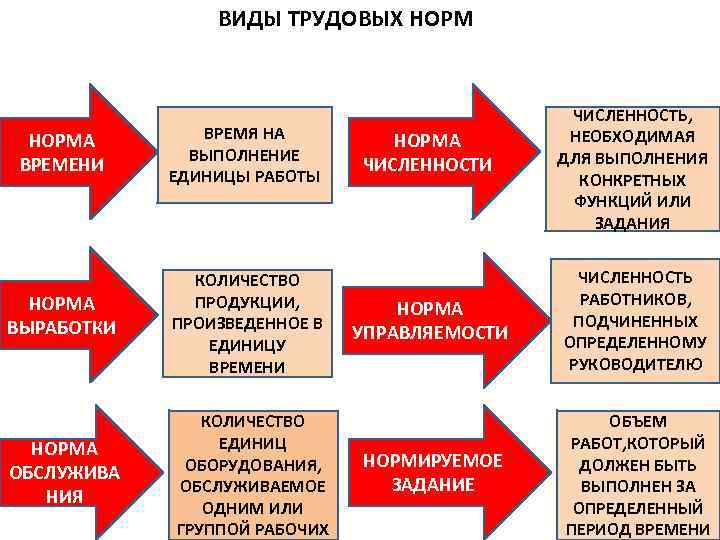 ВИДЫ ТРУДОВЫХ НОРМА ВРЕМЕНИ ВРЕМЯ НА ВЫПОЛНЕНИЕ ЕДИНИЦЫ РАБОТЫ НОРМА ВЫРАБОТКИ КОЛИЧЕСТВО ПРОДУКЦИИ, ПРОИЗВЕДЕННОЕ