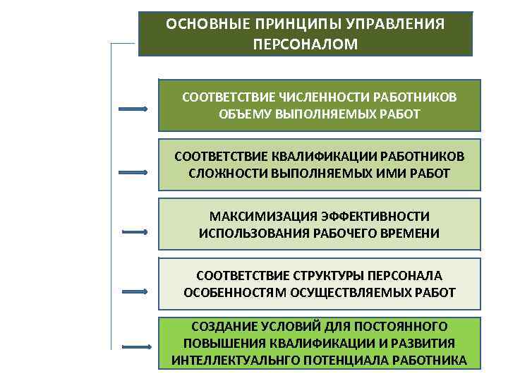 ОСНОВНЫЕ ПРИНЦИПЫ УПРАВЛЕНИЯ ПЕРСОНАЛОМ СООТВЕТСТВИЕ ЧИСЛЕННОСТИ РАБОТНИКОВ ОБЪЕМУ ВЫПОЛНЯЕМЫХ РАБОТ СООТВЕТСТВИЕ КВАЛИФИКАЦИИ РАБОТНИКОВ СЛОЖНОСТИ