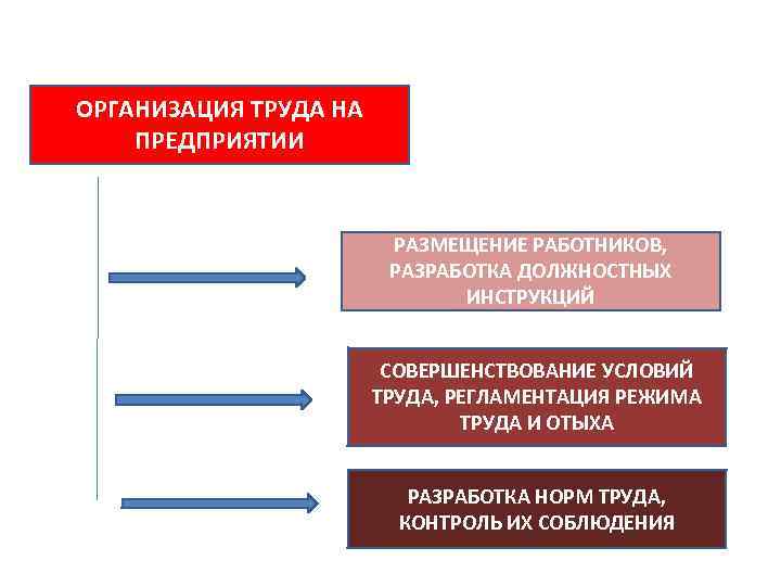 ОРГАНИЗАЦИЯ ТРУДА НА ПРЕДПРИЯТИИ РАЗМЕЩЕНИЕ РАБОТНИКОВ, РАЗРАБОТКА ДОЛЖНОСТНЫХ ИНСТРУКЦИЙ СОВЕРШЕНСТВОВАНИЕ УСЛОВИЙ ТРУДА, РЕГЛАМЕНТАЦИЯ РЕЖИМА