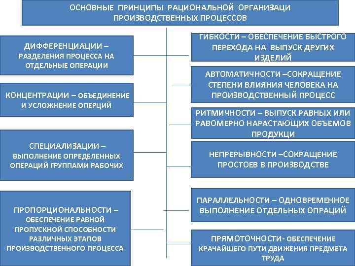 ОСНОВНЫЕ ПРИНЦИПЫ РАЦИОНАЛЬНОЙ ОРГАНИЗАЦИ ПРОИЗВОДСТВЕННЫХ ПРОЦЕССОВ ДИФФЕРЕНЦИАЦИИ – РАЗДЕЛЕНИЯ ПРОЦЕССА НА ОТДЕЛЬНЫЕ ОПЕРАЦИИ КОНЦЕНТРАЦИИ