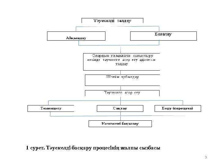 1 сурет. Тәуекелді басқару процесінің жалпы сызбасы 3 