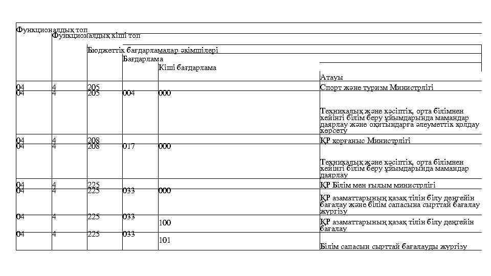Функционалдық топ Функционалдық кіші топ Бюджеттік бағдарламалар әкімшілері Бағдарлама Кіші бағдарлама 04 4 205