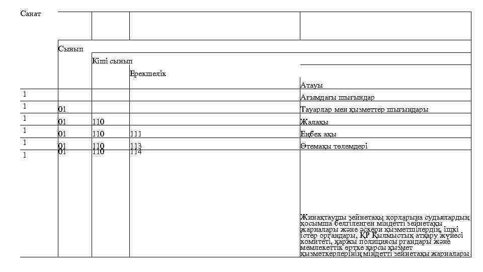 Санат Сынып Кіші сынып Ерекшелік 1 01 01 110 111 Еңбек ақы 01 01