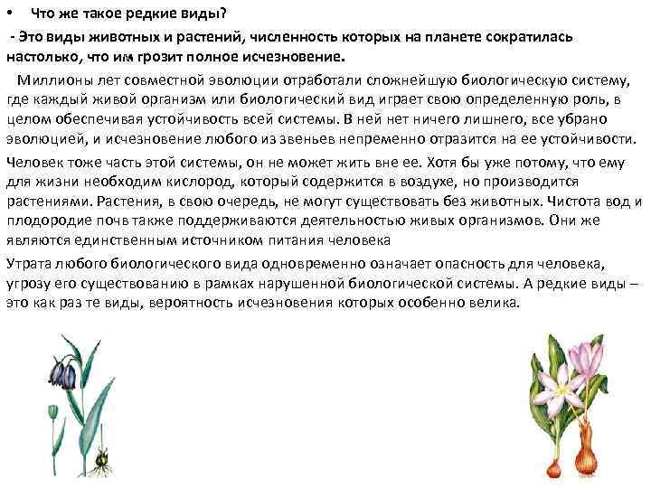  • Что же такое редкие виды? - Это виды животных и растений, численность