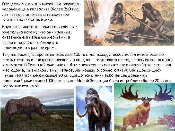 Овладев огнем и примитивным оружием, человек еще в палеолите (более 250 тыс. лет назад)