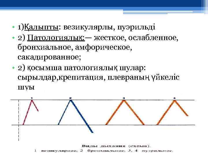  • 1)Қалыпты: везикулярлы, пуэрильді • 2) Патологиялық: — жесткое, ослабленное, бронхиальное, амфорическое, сакадированное;