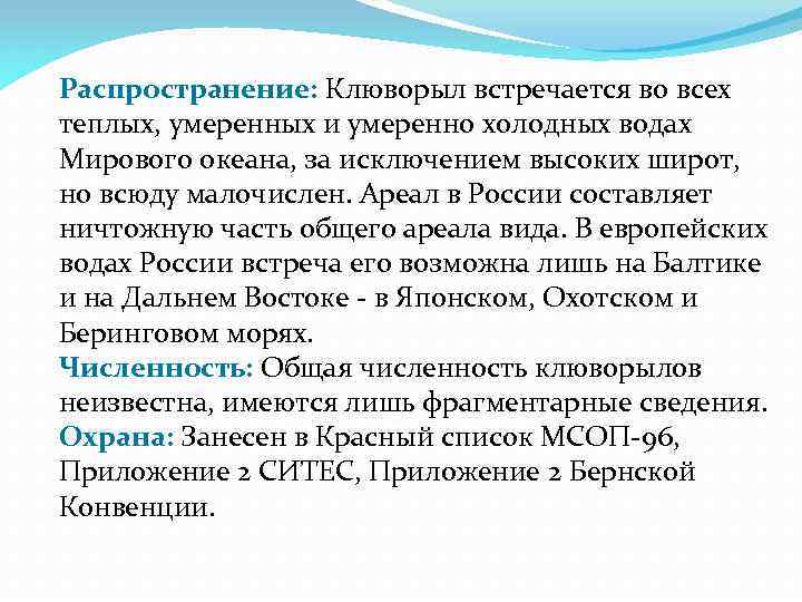 Распространение: Клюворыл встречается во всех теплых, умеренных и умеренно холодных водах Мирового океана, за