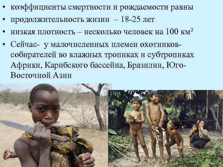  • • коэффициенты смертности и рождаемости равны продолжительность жизни – 18 -25 лет