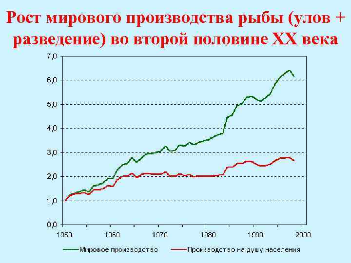 Рост мирового производства рыбы (улов + разведение) во второй половине ХХ века 