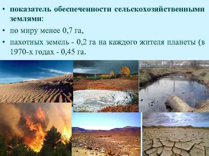  • показатель обеспеченности сельскохозяйственными землями: • по миру менее 0, 7 га, •