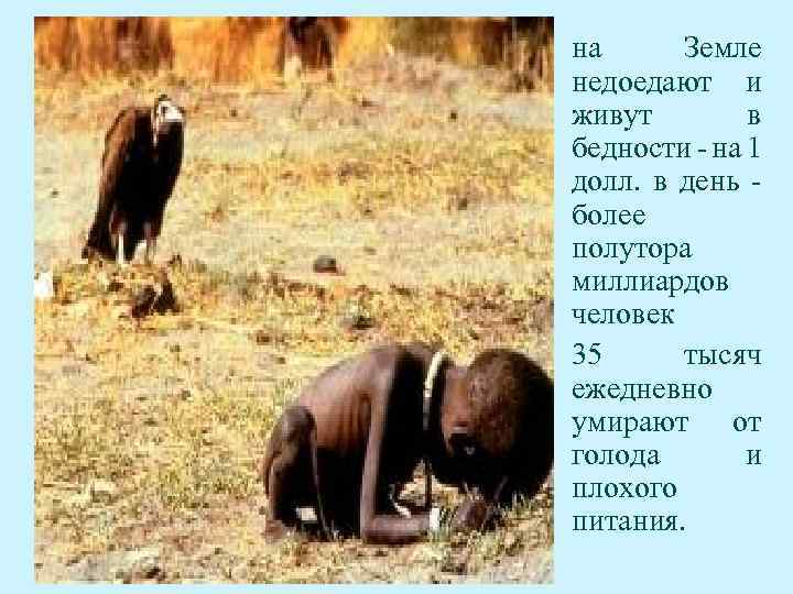  • на Земле недоедают и живут в бедности - на 1 долл. в