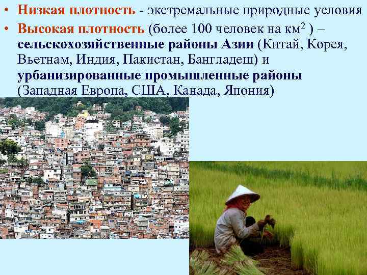  • Низкая плотность - экстремальные природные условия • Высокая плотность (более 100 человек