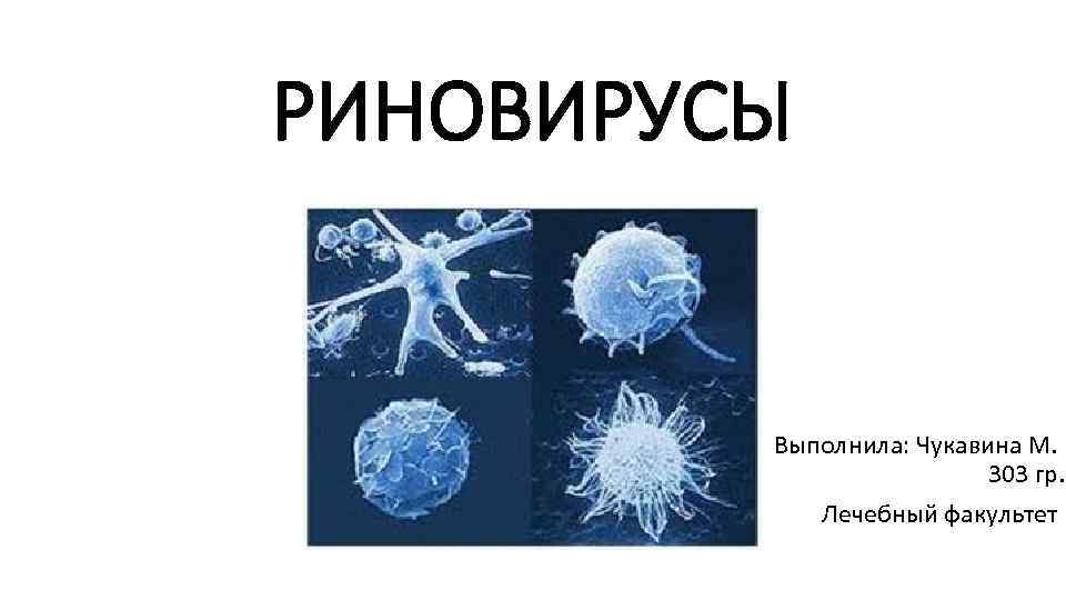 РИНОВИРУСЫ Выполнила: Чукавина М. 303 гр. Лечебный факультет 