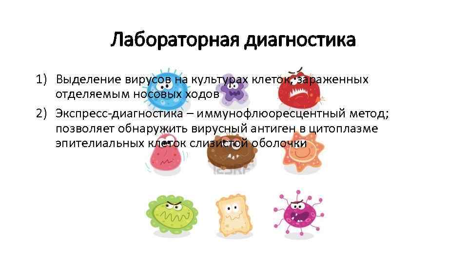 Лабораторная диагностика 1) Выделение вирусов на культурах клеток, зараженных отделяемым носовых ходов 2) Экспресс-диагностика