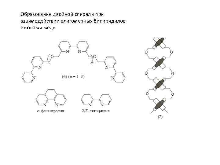 Образование двойной спирали при взаимодействии олигомерных бипиридилов с ионами меди 