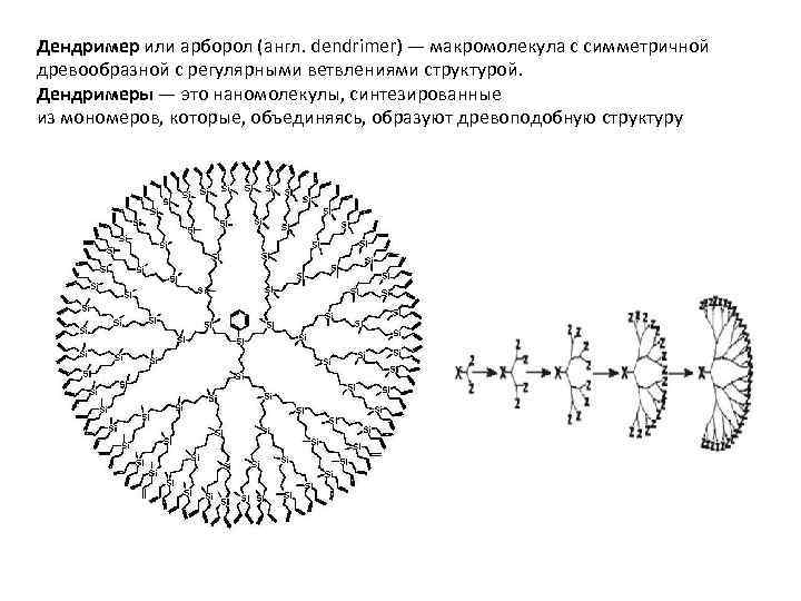 Дендример или арборол (англ. dendrimer) — макромолекула с симметричной древообразной с регулярными ветвлениями структурой.