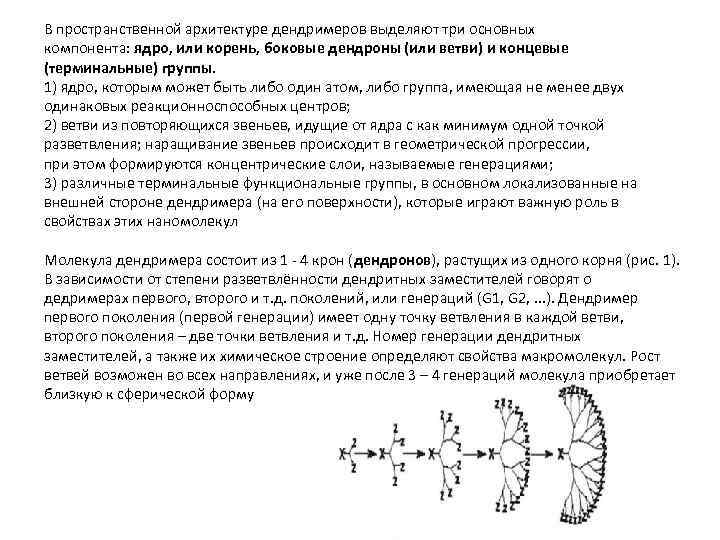 В пространственной архитектуре дендримеров выделяют три основных компонента: ядро, или корень, боковые дендроны (или