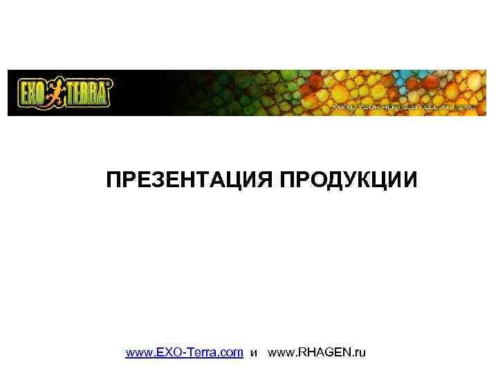 ПРЕЗЕНТАЦИЯ ПРОДУКЦИИ www. EXO-Terra. com и www. RHAGEN. ru 