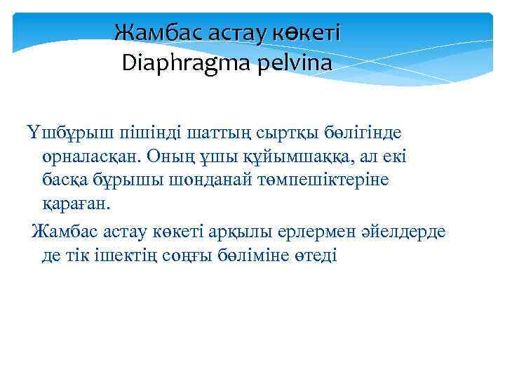 Жамбас астау көкеті Diaphragma pelvina Үшбұрыш пішінді шаттың сыртқы бөлігінде орналасқан. Оның ұшы құйымшаққа,