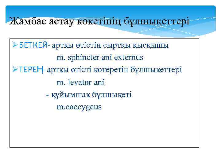 Жамбас астау көкетінің бұлшықеттері ØБЕТКЕЙ- артқы өтістің сыртқы қысқышы m. sphincter ani externus ØТЕРЕҢ-