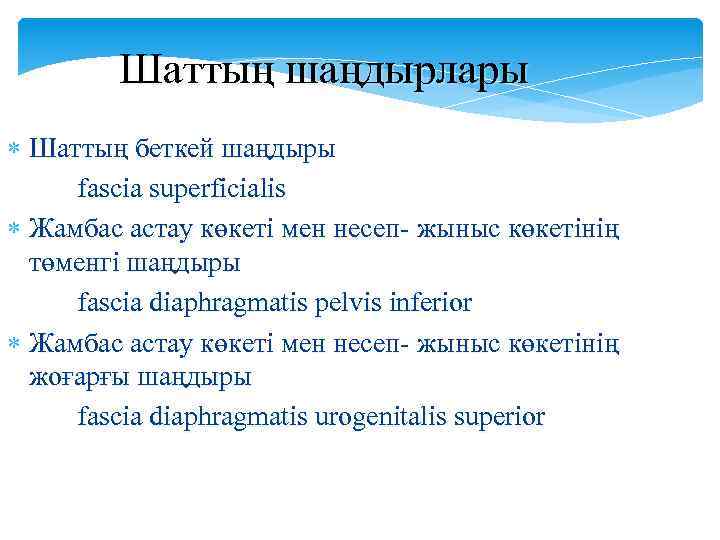 Шаттың шаңдырлары Шаттың беткей шаңдыры fascia superficialis Жамбас астау көкеті мен несеп- жыныс көкетінің