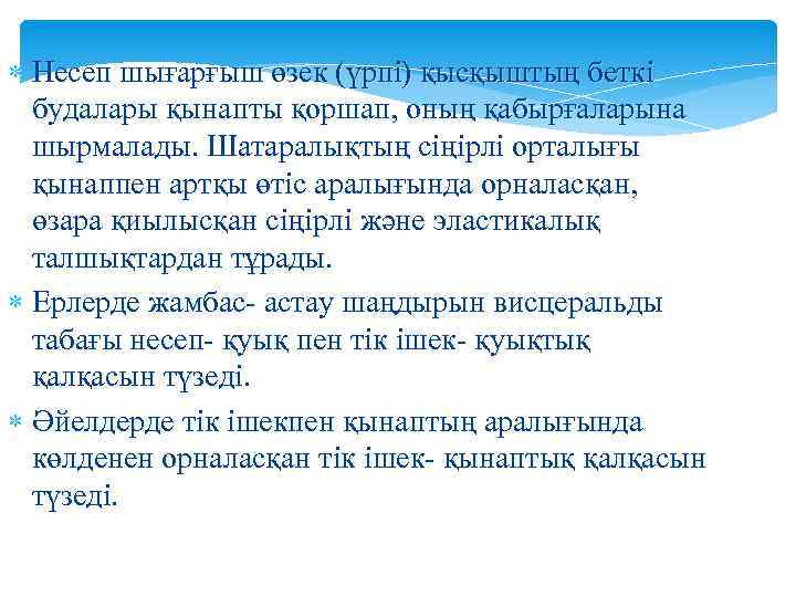  Несеп шығарғыш өзек (үрпі) қысқыштың беткі будалары қынапты қоршап, оның қабырғаларына шырмалады. Шатаралықтың