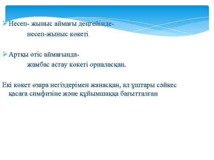 Ø Несеп- жыныс аймағы деңгейінденесеп-жыныс көкеті Ø Артқы өтіс аймағындажамбас астау көкеті орналасқан. Екі