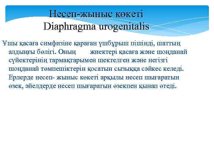 Несеп-жыныс көкеті Diaphragma urogenitalis Ұшы қасаға симфизіне қараған үшбұрыш пішінді, шаттың алдыңғы бөлігі. Оның