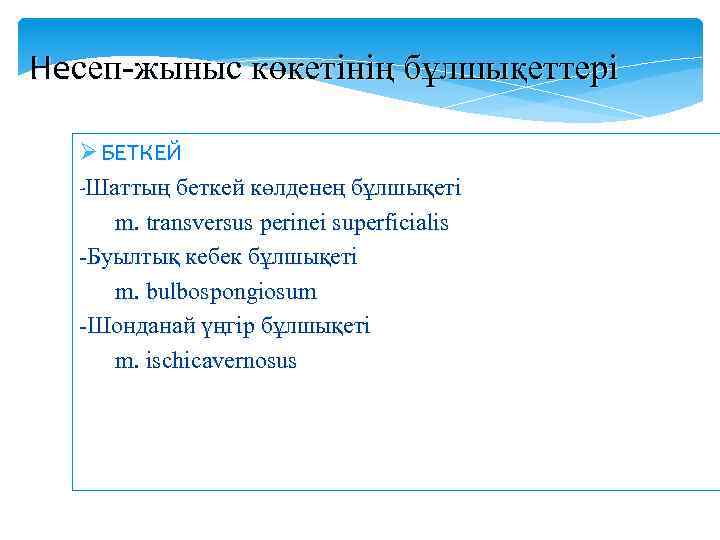 Несеп-жыныс көкетінің бұлшықеттері Ø БЕТКЕЙ -Шаттың беткей көлденең бұлшықеті m. transversus perinei superficialis -Буылтық