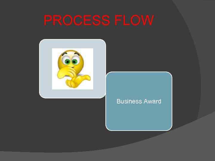 PROCESS FLOW Business Award 