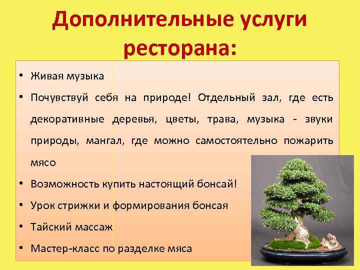Дополнительные услуги ресторана: • Живая музыка • Почувствуй себя на природе! Отдельный зал, где