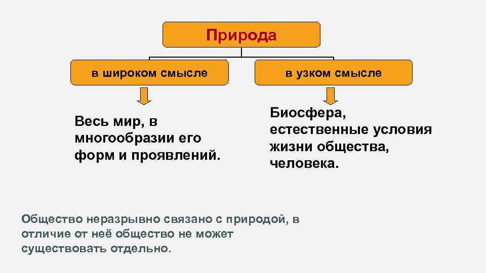 Что такое общество 10 класс презентация