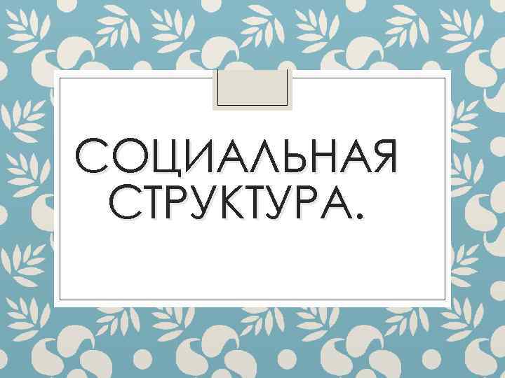 СОЦИАЛЬНАЯ СТРУКТУРА. 