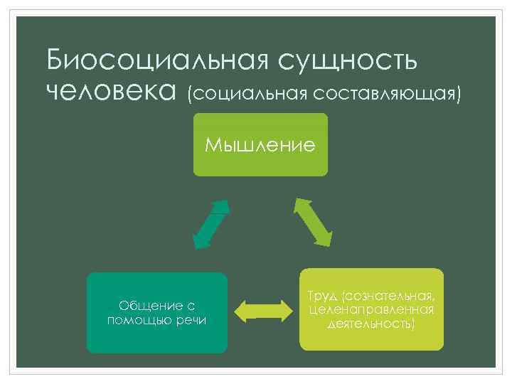 Биосоциальная сущность человека (социальная составляющая) Мышление Общение с помощью речи Труд (сознательная, целенаправленная деятельность)