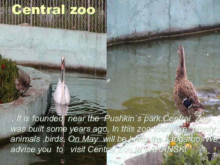 Central zoo . It is founded near the Pushkin`s park. Central Zoo was built