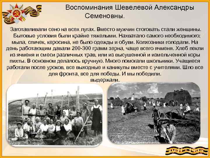 Воспоминания Шевелевой Александры Семеновны. Заготавливали сено на всех лугах. Вместо мужчин стоговать стали женщины.