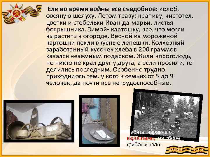  • Ели во время войны все съедобное: колоб, овсяную шелуху. Летом траву: крапиву,