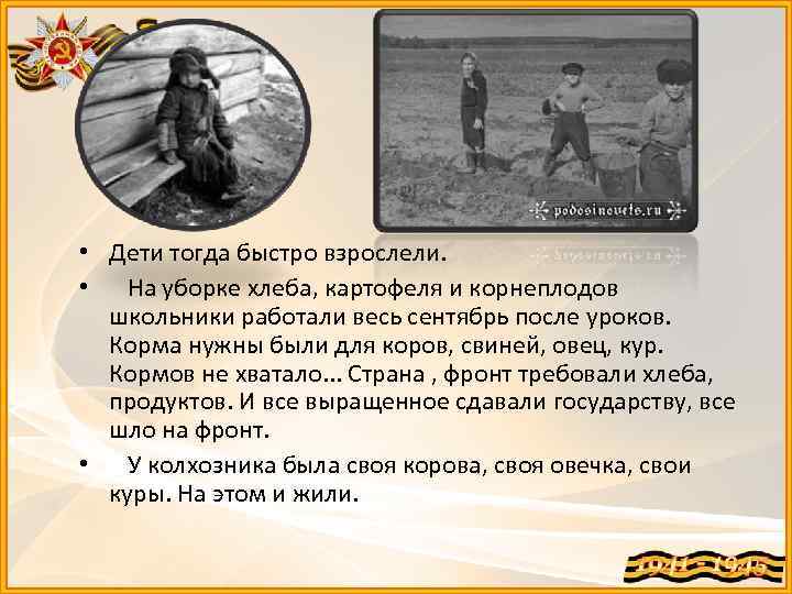  • Дети тогда быстро взрослели. • На уборке хлеба, картофеля и корнеплодов школьники