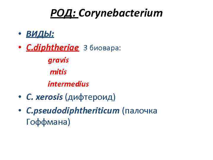 РОД: Corynebacterium • ВИДЫ: • C. diphtheriae 3 биовара: gravis mitis intermedius • C.