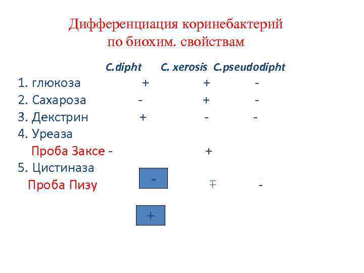 Дифференциация коринебактерий по биохим. свойствам C. dipht C. xerosis C. pseudodipht 1. глюкоза +