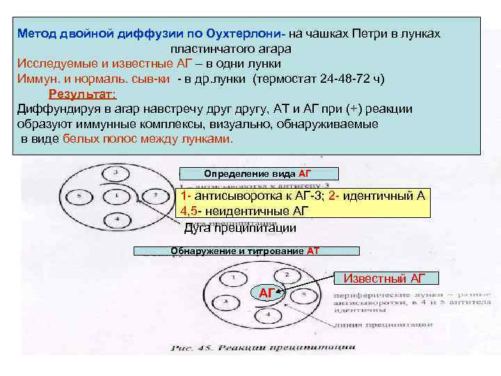 Реакция преципитации презентация